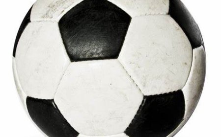 Six Guinea fans die celebrating AFCON victory.