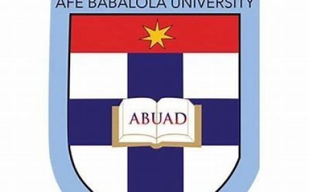 We’re working to make ABUAD among best varsities globally, says VC