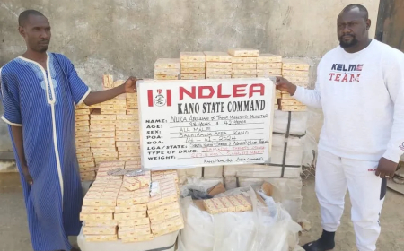 NDLEA arrests owner of tramadol consignment in viral airport video