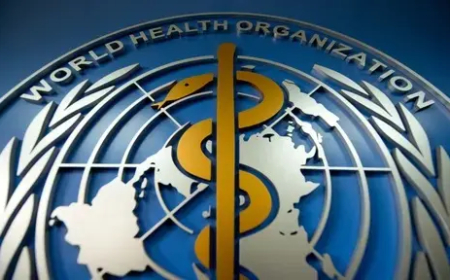 COVID-19 vaccines save 1.4m lives in Europe – WHO