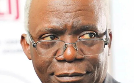 Falana urges states to abolish pension payment to ex-govs