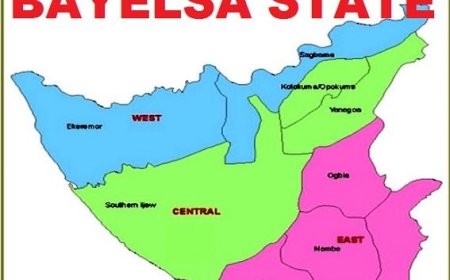 Farmer Begins Milling Local Rice In Bayelsa