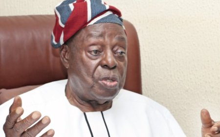 Collected $30M For Helping Gov’t Recover $300M – Afe Babalola