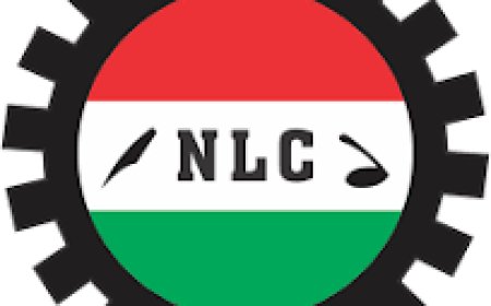Minimum Wage: Half ‘agbado’ Better Than None – Shehu Sani On NLC Strike