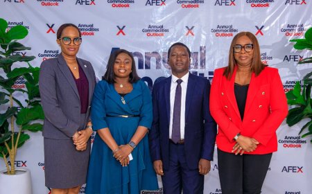 Prices of maize, paddy, others to jump in 2024 – AFEX