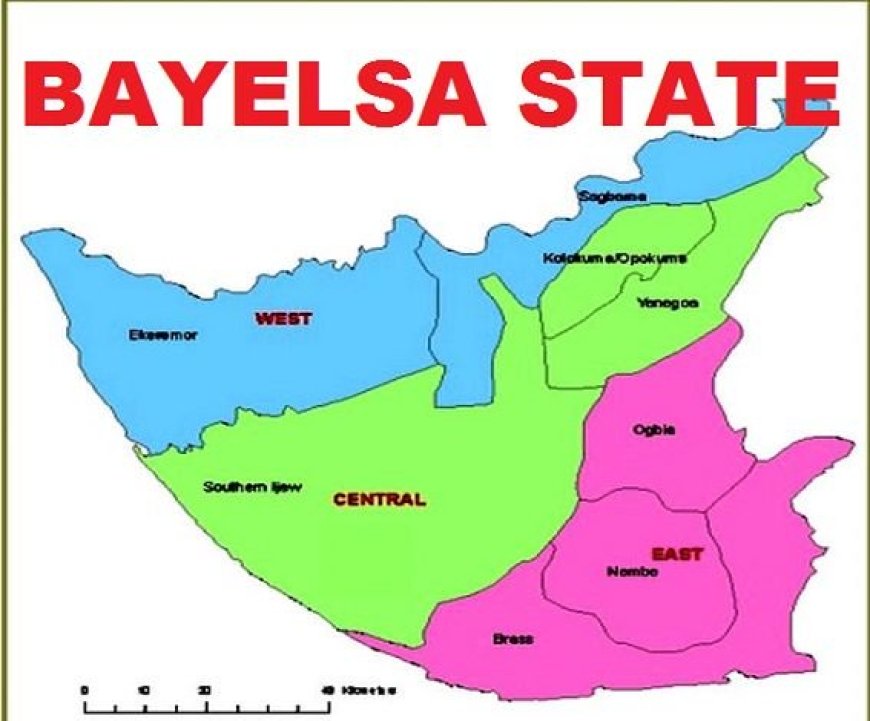 Farmer Begins Milling Local Rice In Bayelsa