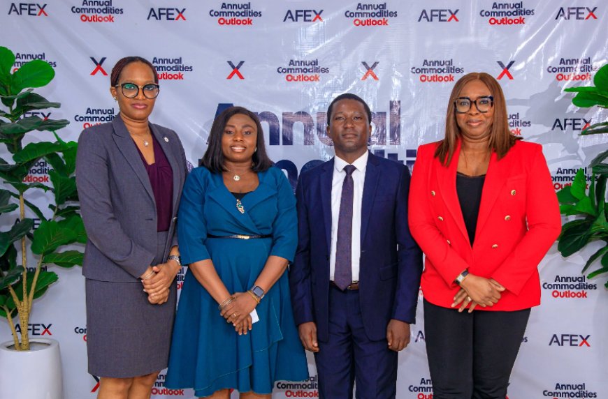 Prices of maize, paddy, others to jump in 2024 – AFEX