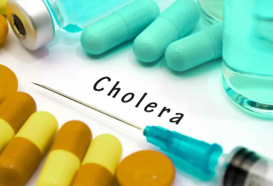 Cholera: Intensify environmental surveillance – FG tells states, LGAs