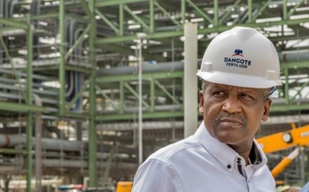 Dangote refinery: Declare crude supply emergency, oil producers tell Tinubu