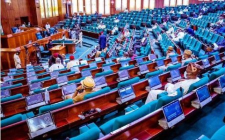 Probe stagnation in civil service promotion, lawmakers tell FG