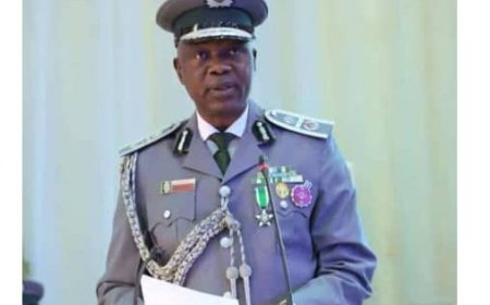 Vehicle importation down by 45% over forex crisis – CGC