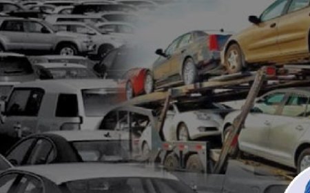PTML attributes 60% drop in vehicle importation to high duties