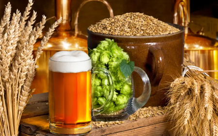 Brewing industry choking over high cost of raw materials