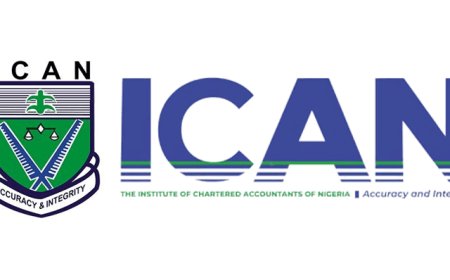 NASS open to collaboration with ICAN, others, says lawmaker