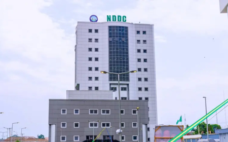 NDDC proposes legislation to secure 3% VAT revenue for additional funding