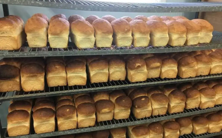 Tale of woes as bread scarcity hits Kaduna, Katsina, Kano