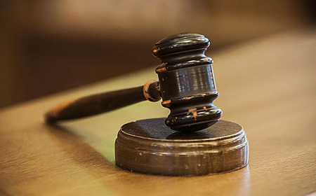 METROCourt sends Chinese nationals to prison for illegal mining activities