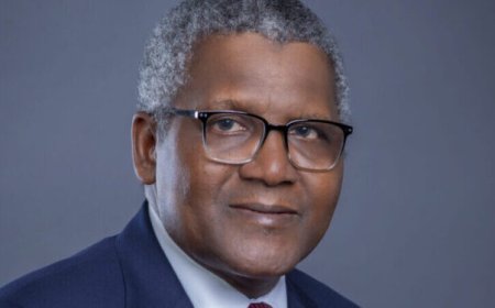 Dangote Group targets $30 billion in revenue by 2025, to become Nigeria’s largest forex supplier