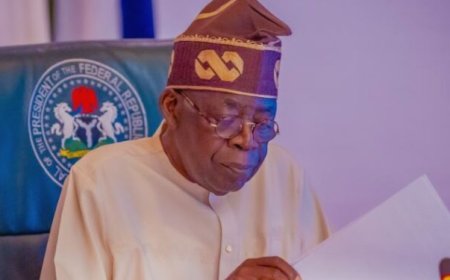 Presidency spends N16.06 billion to buy foreign currencies for international trips in one year
