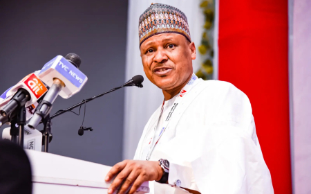 Minimum wage: Tinubu, Labour meet Thursday, LGs demand more allocation