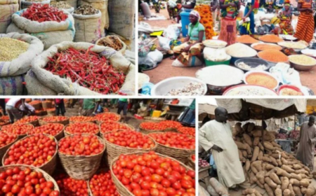 Nigeria’s month-on-month headline inflation rises first time since February 2024