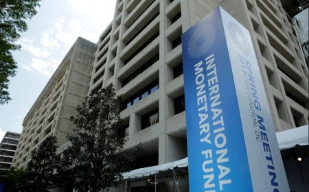 IMF downgrades Nigeria’s 2024 GDP growth in revised economic outlook
