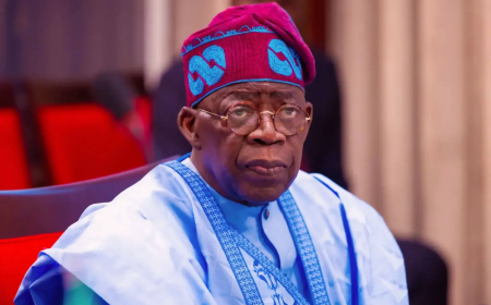 Nigeria may get up to 0.3% of 2024 GDP as revenue from windfall tax on banks’ FX gains