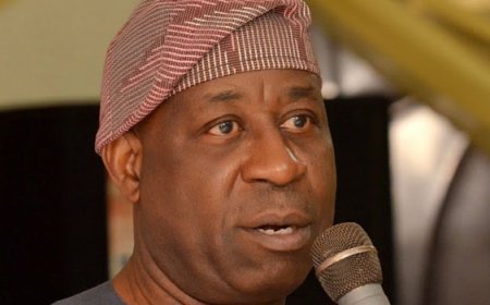 FG shuts down gold mine in Kogi
