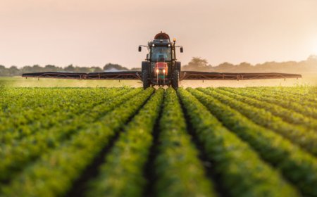 Agribusiness institute begins operations September – FG