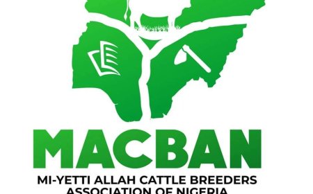 Nigeria generates $1.2bn annually from animal skin export – MACBAN