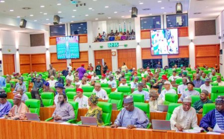 Reps Adjust 2024 Budget From ₦28.7tn To ₦35.5tn
