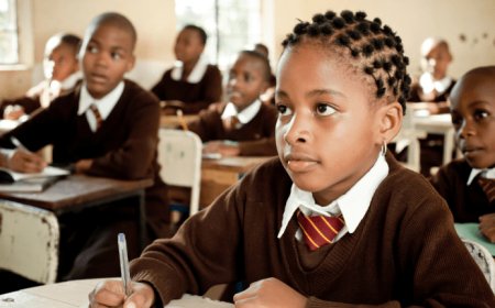 Top 10 countries in Africa with best education system