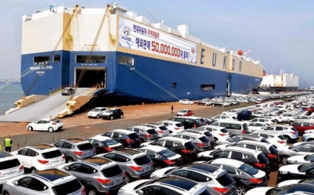 Vehicle importation falls 60.8% in H1’24