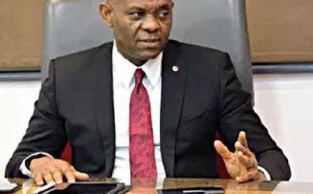 Elumelu upbeat as Transcorp Group grows half year revenue by 114%