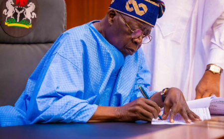 Breaking: Nigeria secures $1.25 billion electricity loans from World Bank, AfDB under Tinubu