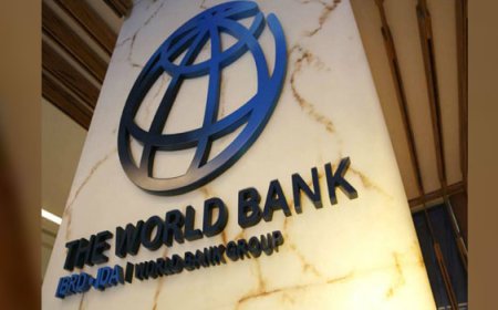 FG seeks $500m World Bank loan for dam safety, others