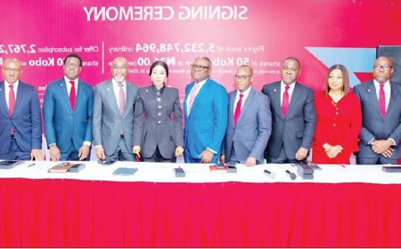 Zenith Bank to raise N290bn fresh capital