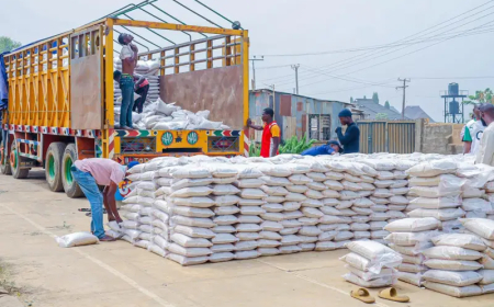 FG suspends import duty on rice, flour, other essential food items