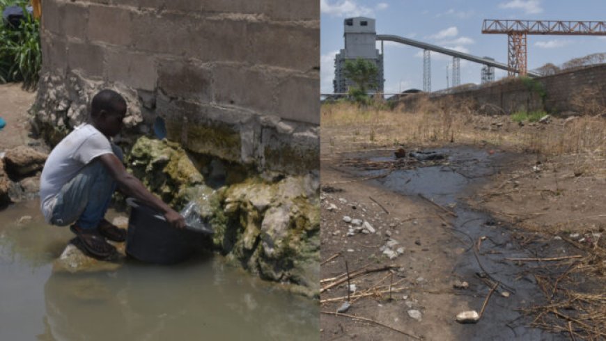 Environmental crisis hits Benue communities amid Dangote Cement’s profit surge