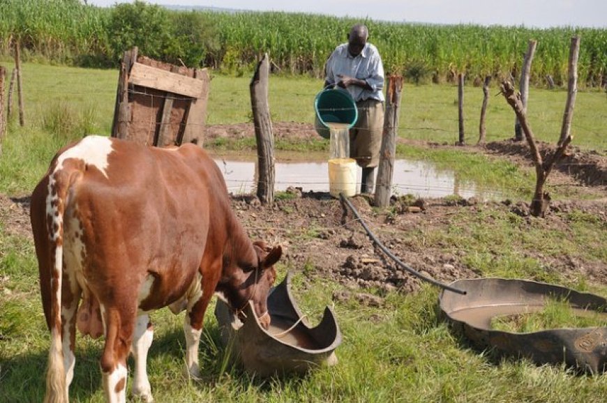 Tantaliser, Livestock Feeds lift equity market to over N16bn gain