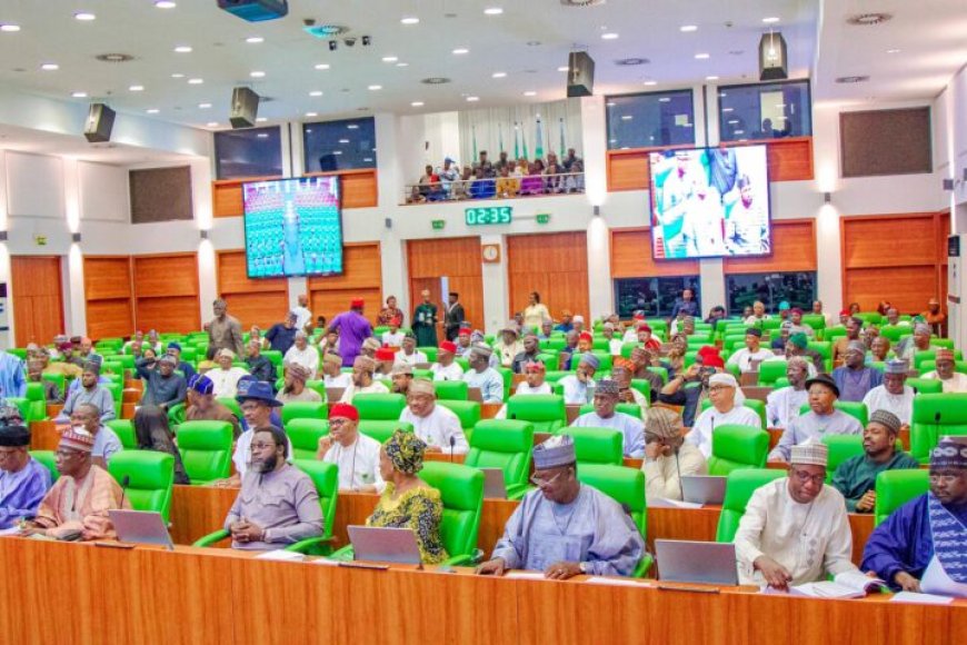 Reps Adjust 2024 Budget From ₦28.7tn To ₦35.5tn