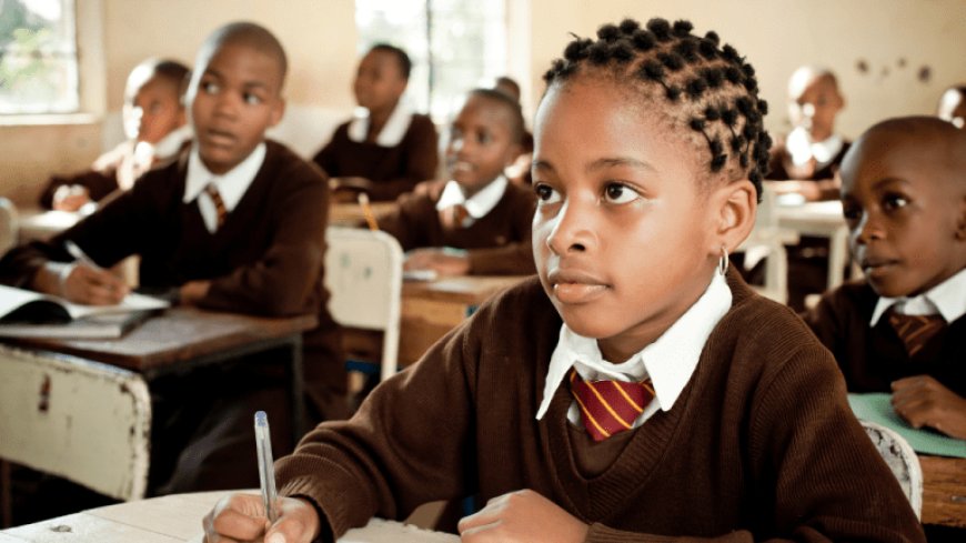 Top 10 countries in Africa with best education system