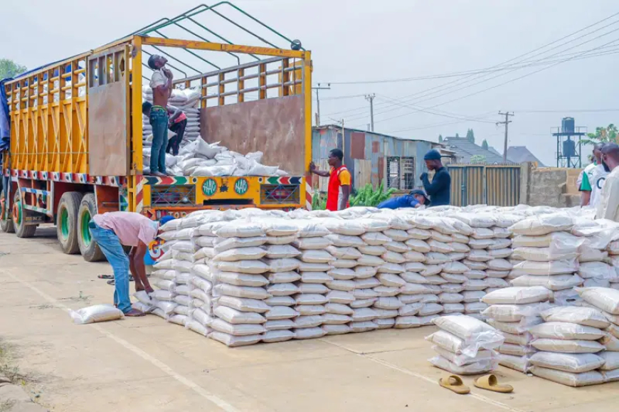 FG suspends import duty on rice, flour, other essential food items