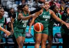 D’Tigress brace for American challenge in Olympics quarterfinal
