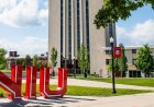APPLY NOW – Northern Illinois University Scholarship in USA 2024