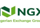 NGX lifts suspension on Guinea Insurance as investors lose N846 billion