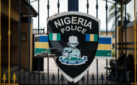 Protest: Police arrest 50 hoodlums in Katsina
