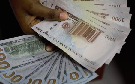 Dollar surpasses N1600 at official market