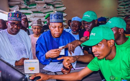 Fintech firms unveil plan to bridge financial gap in Jigawa