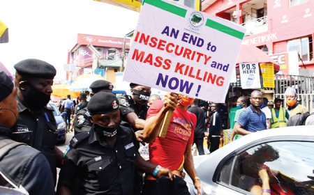 N1tn spent to fight insecurity in six months – Report